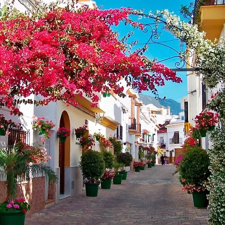 Casa Andaluza En El Centro Hisotrico De - Portada 16